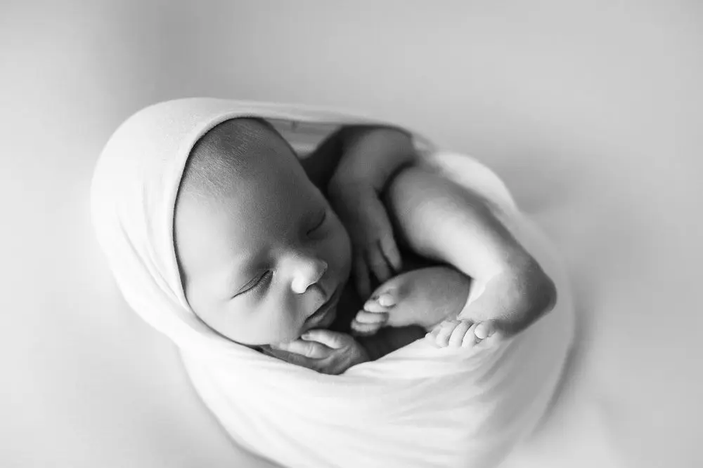 warrnambool newborn photography