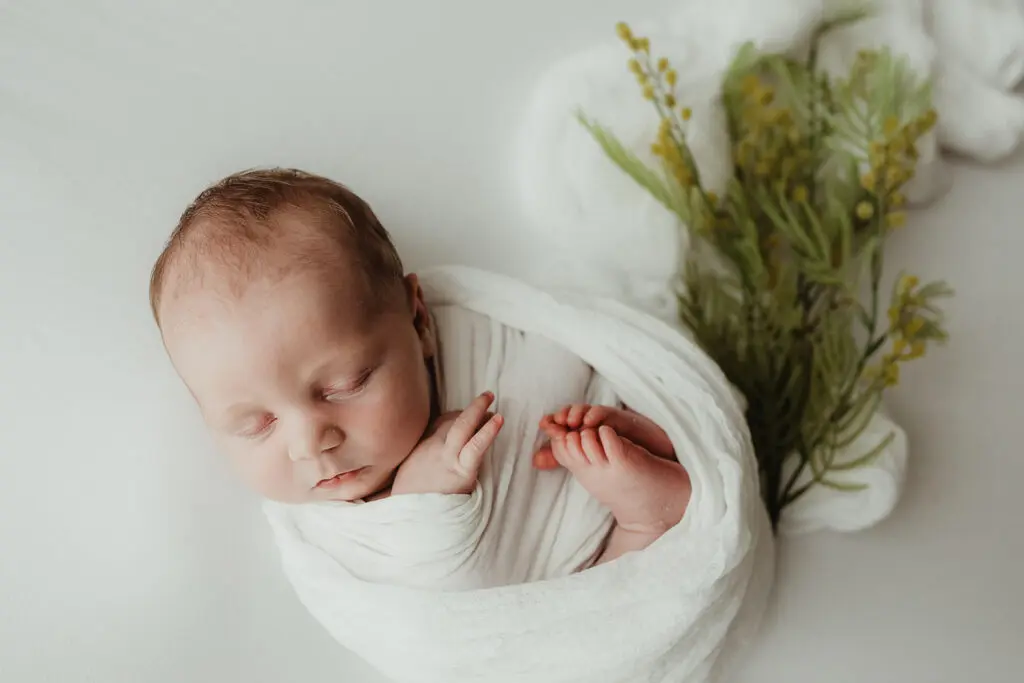 Newborn photography session in Warrnambool studio