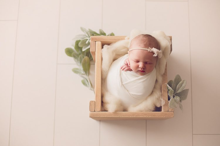 modern warrnambool newborn photography