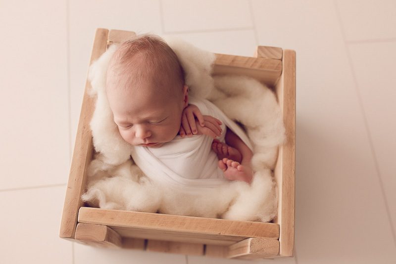 modern newborn photos in warrnambool